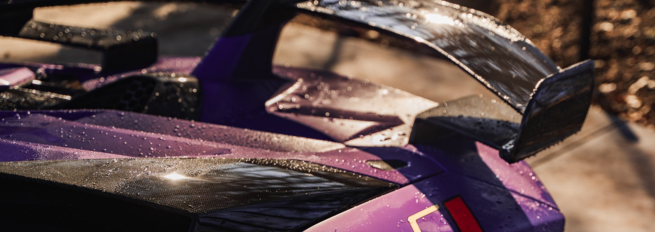 Purple Lamborghini SVJ detailed