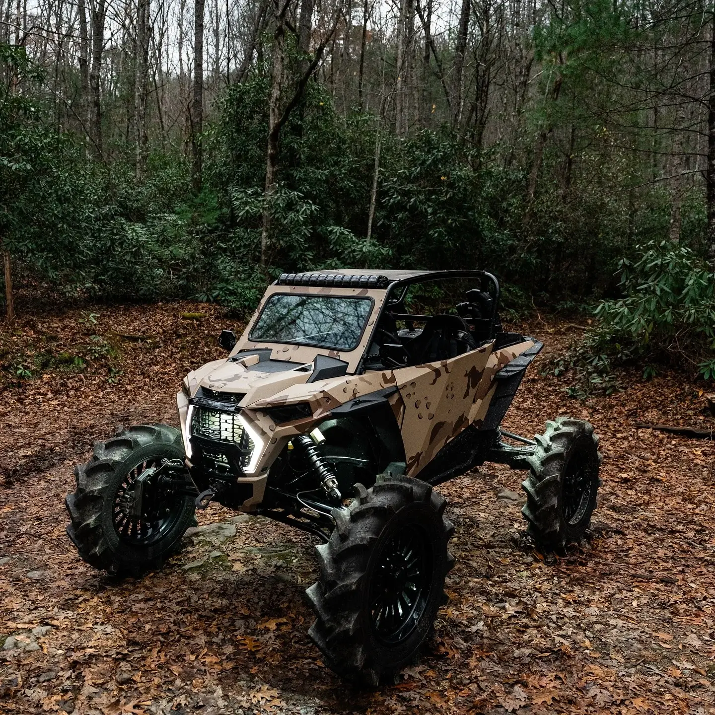 Polaris RZR